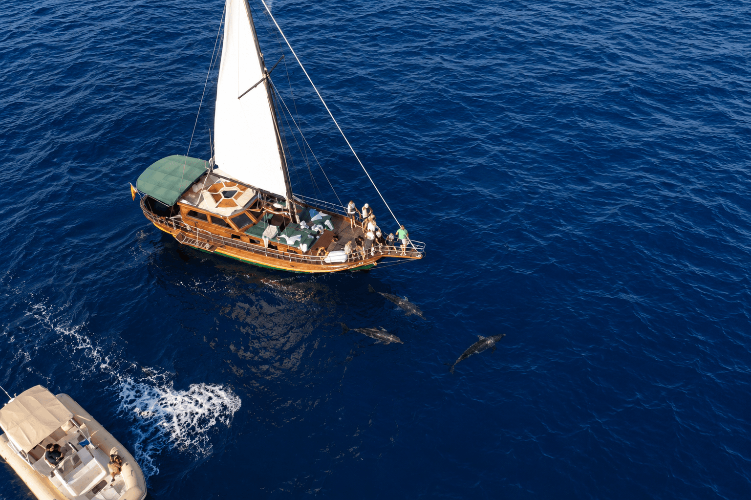 Charter Privado en Velero Clásico – Puerto Rico - 4 horas